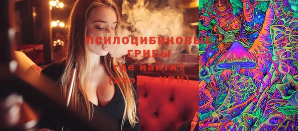 молекула духа Богородск