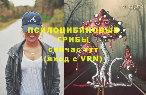 ALPHA PVP Бронницы
