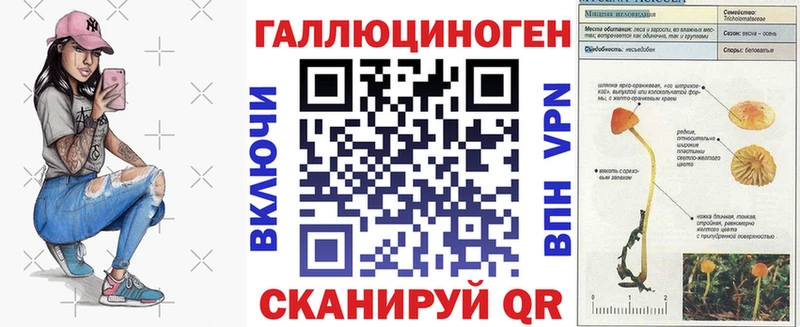 Псилоцибиновые грибы MAGIC MUSHROOMS  гидра ONION  Дигора  купить наркотик 