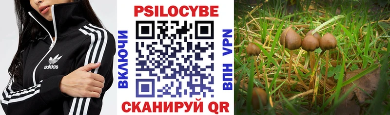 Галлюциногенные грибы прущие грибы Дигора